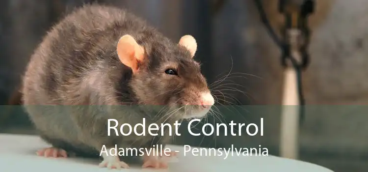Rodent Control Adamsville - Pennsylvania