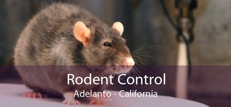 Rodent Control Adelanto - California