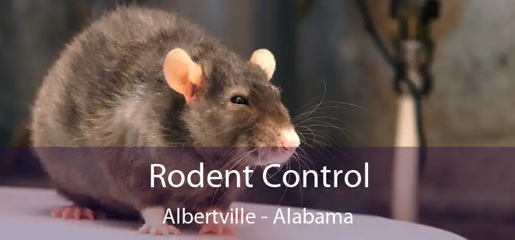 Rodent Control Albertville - Alabama