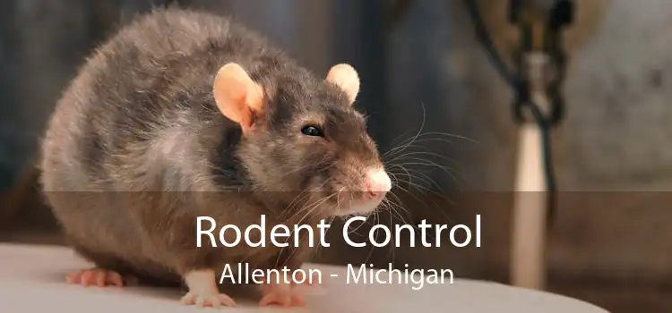 Rodent Control Allenton - Michigan