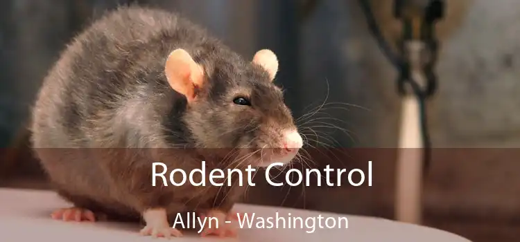 Rodent Control Allyn - Washington