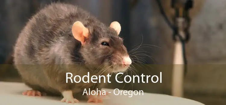 Rodent Control Aloha - Oregon
