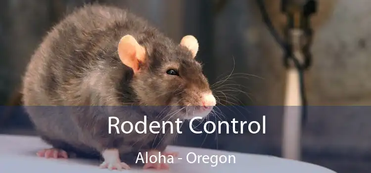 Rodent Control Aloha - Oregon