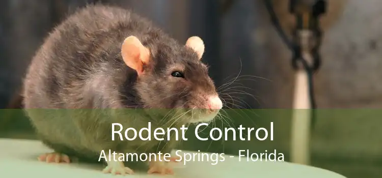 Rodent Control Altamonte Springs - Florida