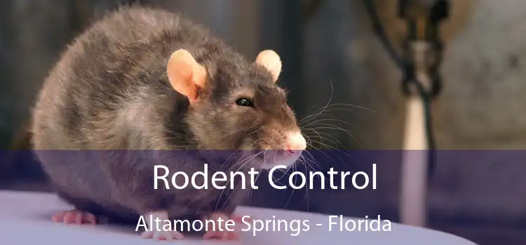 Rodent Control Altamonte Springs - Florida