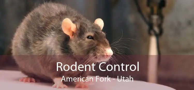 Rodent Control American Fork - Utah