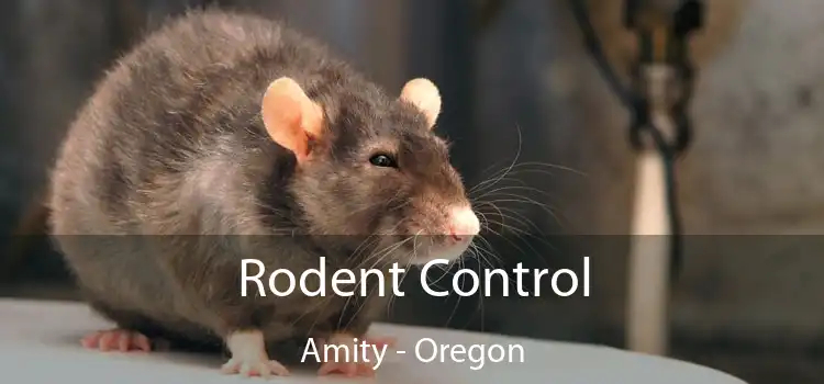 Rodent Control Amity - Oregon