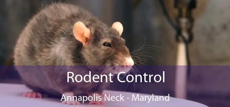 Rodent Control Annapolis Neck - Maryland