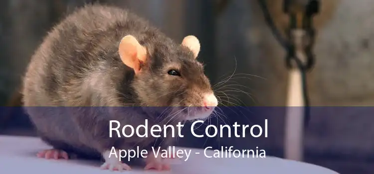 Rodent Control Apple Valley - California