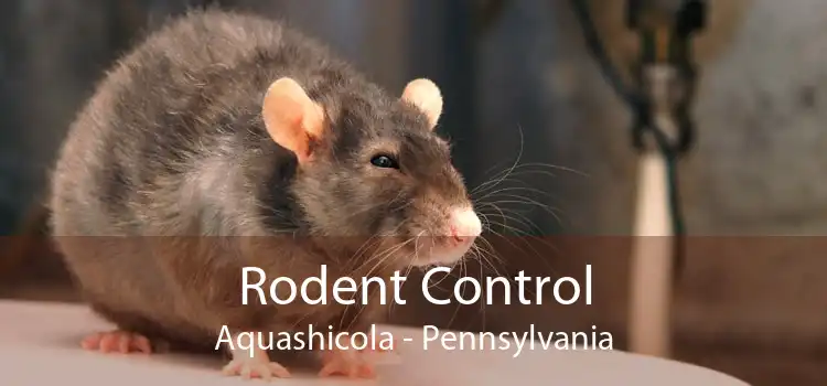 Rodent Control Aquashicola - Pennsylvania