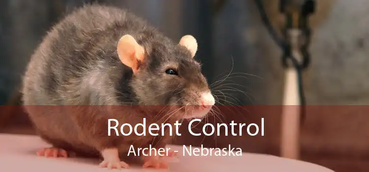 Rodent Control Archer - Nebraska