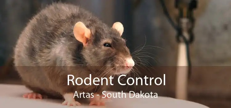 Rodent Control Artas - South Dakota