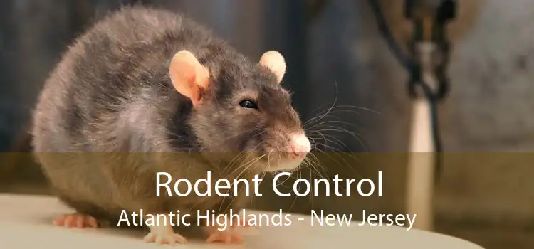 Rodent Control Atlantic Highlands - New Jersey