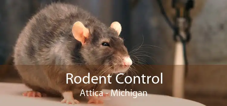 Rodent Control Attica - Michigan