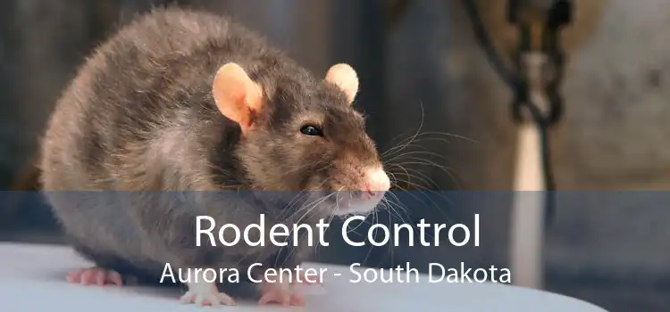Rodent Control Aurora Center - South Dakota