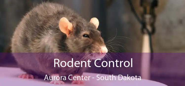 Rodent Control Aurora Center - South Dakota