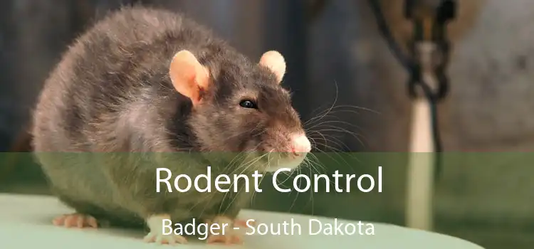 Rodent Control Badger - South Dakota