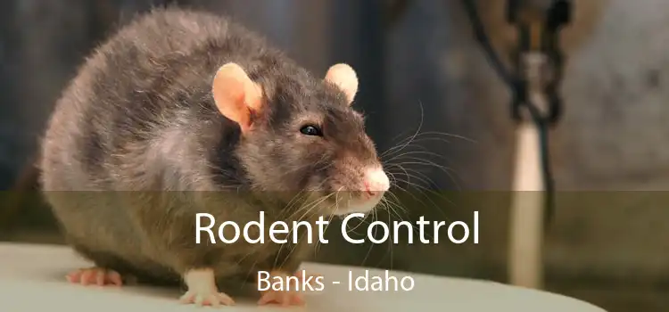 Rodent Control Banks - Idaho