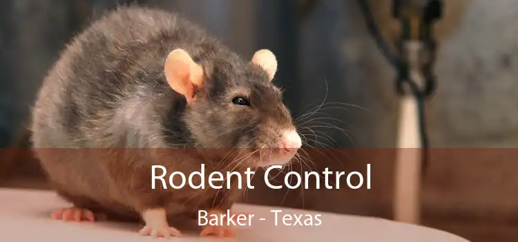 Rodent Control Barker - Texas