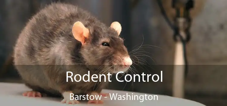 Rodent Control Barstow - Washington