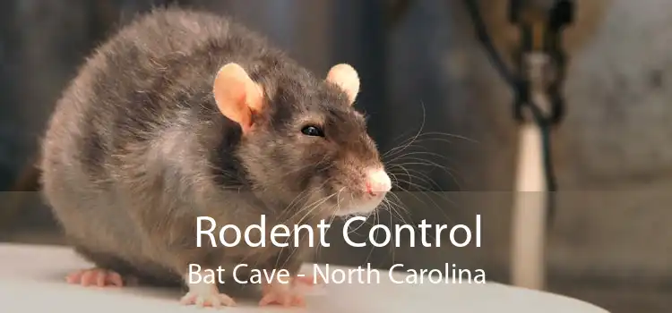 Rodent Control Bat Cave - North Carolina