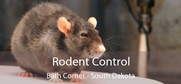 Rodent Control Bath Corner - South Dakota