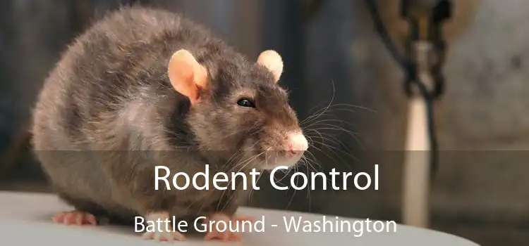 Rodent Control Battle Ground - Washington