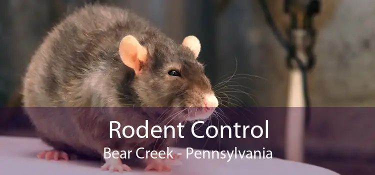 Rodent Control Bear Creek - Pennsylvania