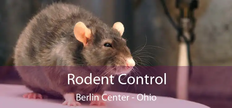 Rodent Control Berlin Center - Ohio