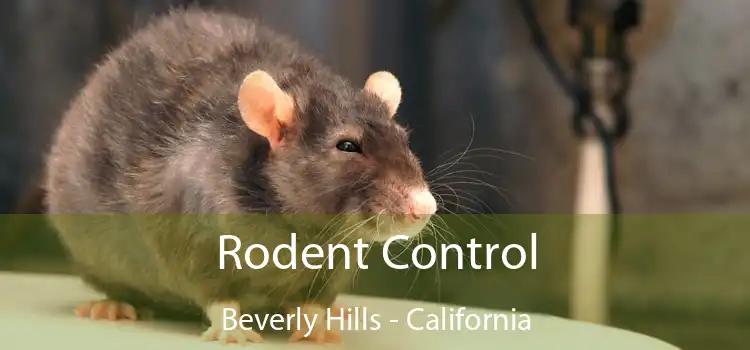 Rodent Control Beverly Hills - California