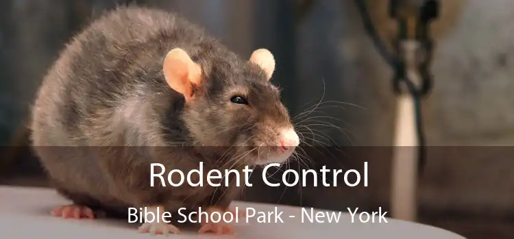 Rodent Control Bible School Park - New York