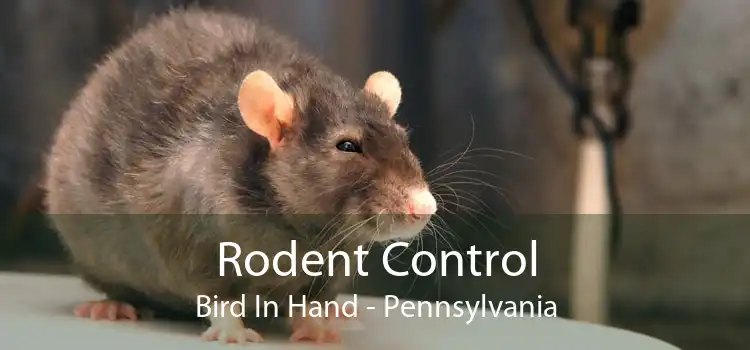 Rodent Control Bird In Hand - Pennsylvania