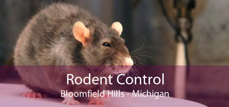 Rodent Control Bloomfield Hills - Michigan