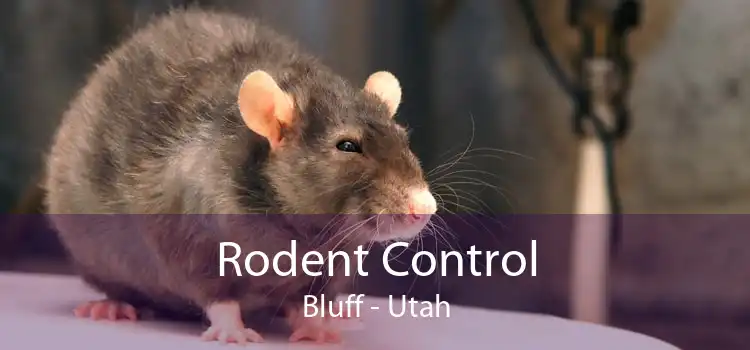 Rodent Control Bluff - Utah