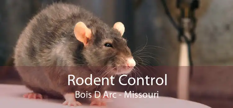 Rodent Control Bois D Arc - Missouri
