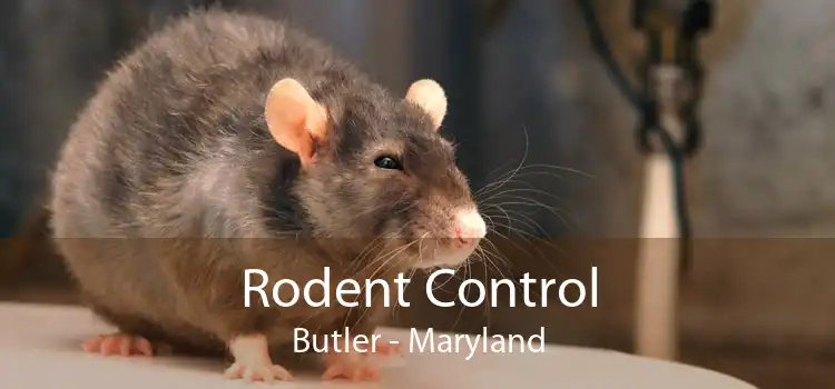 Rodent Control Butler - Maryland