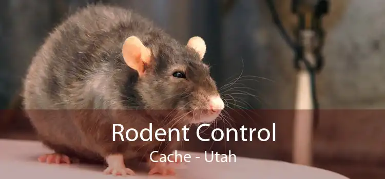 Rodent Control Cache - Utah