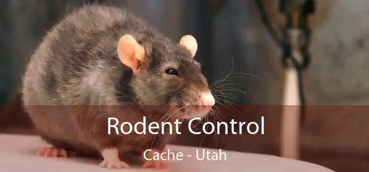 Rodent Control Cache - Utah