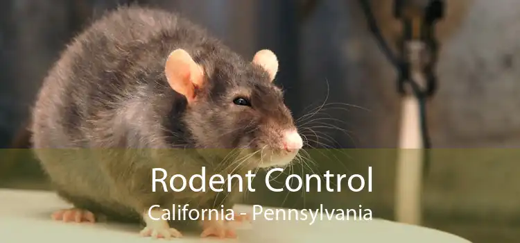 Rodent Control California - Pennsylvania