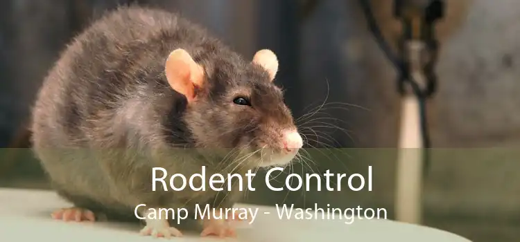 Rodent Control Camp Murray - Washington