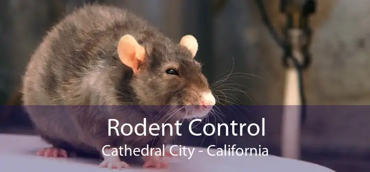 Rodent Control Cathedral City - California