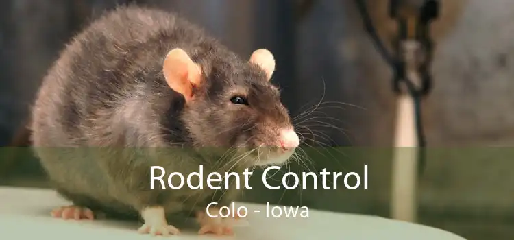 Rodent Control Colo - Iowa