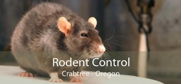 Rodent Control Crabtree - Oregon