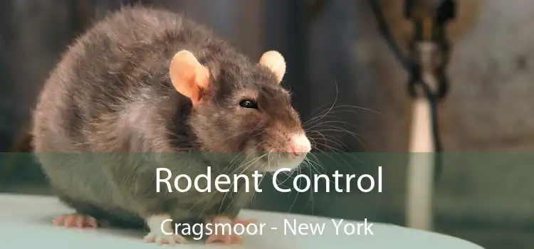 Rodent Control Cragsmoor - New York