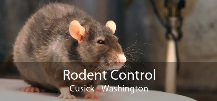 Rodent Control Cusick - Washington
