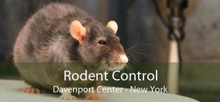 Rodent Control Davenport Center - New York