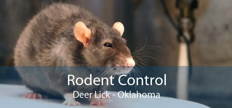 Rodent Control Deer Lick - Oklahoma
