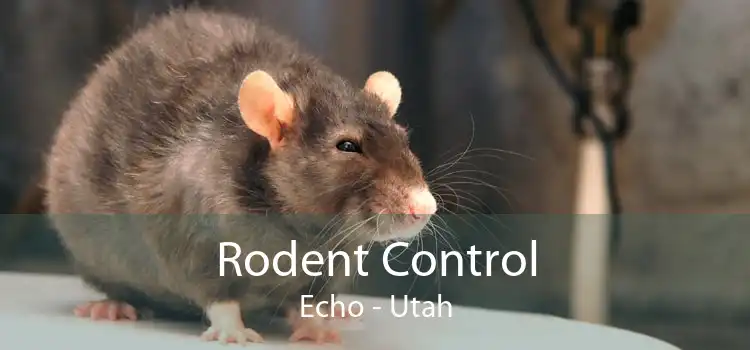 Rodent Control Echo - Utah