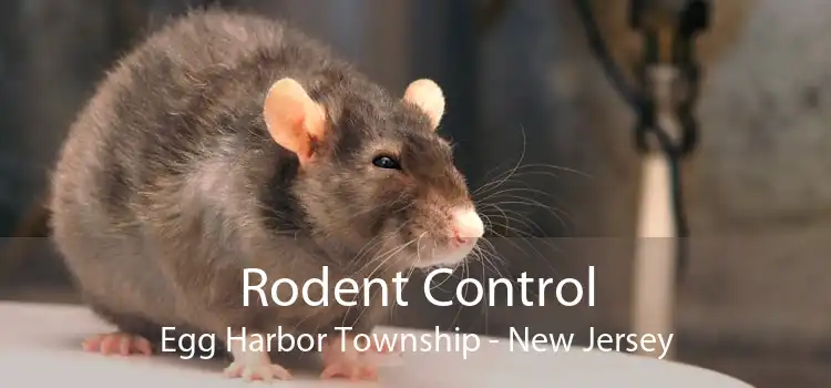 Rodent Control Egg Harbor Township - New Jersey