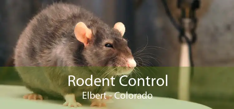 Rodent Control Elbert - Colorado
